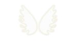 Neon PLEXI LED WINGS white usb με διακόπτη on off & dimmer - Image 2