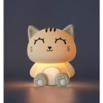 ΦΩΣ ΝΥΚΤΟΣ i-TOTAL SILICONE GREY CAT